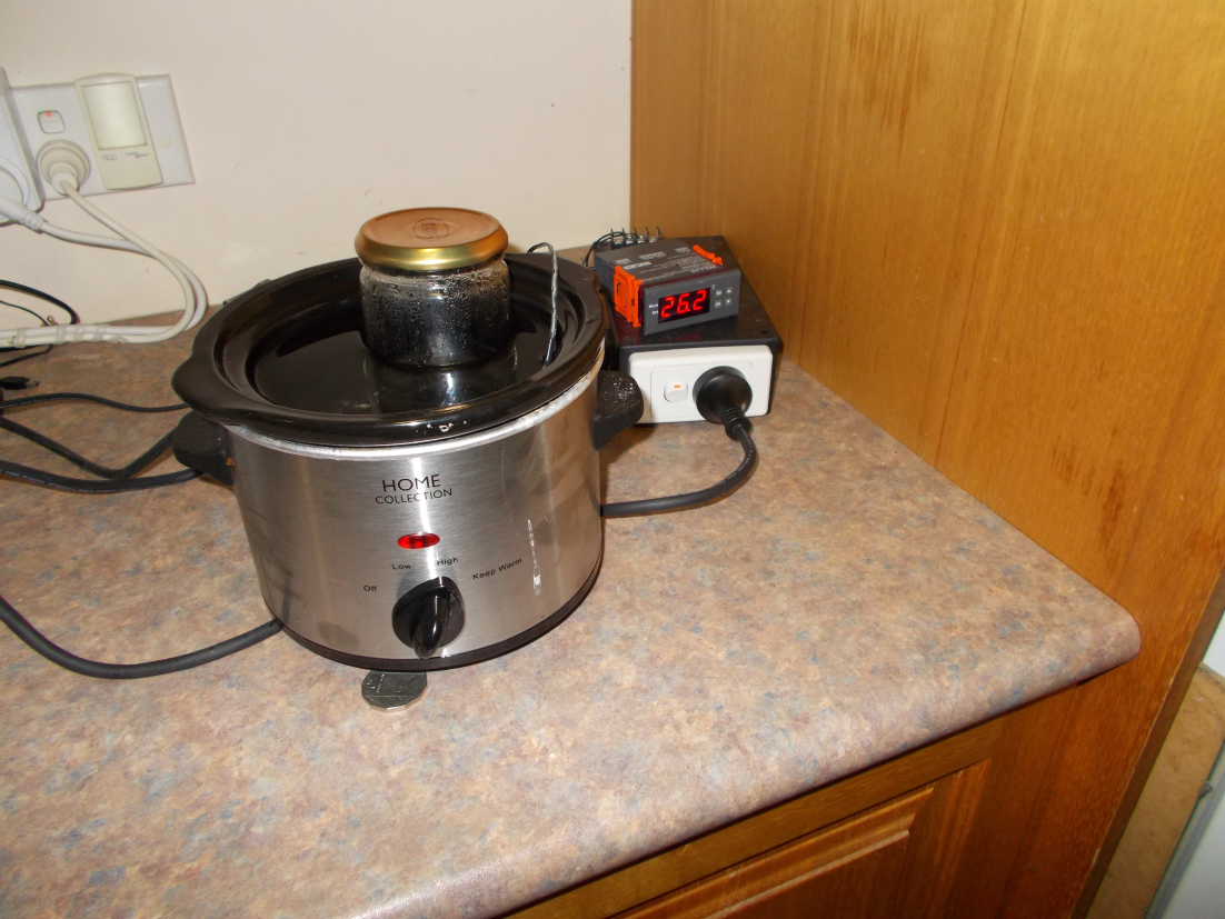 Warming the yeast starter ready to put yeast in